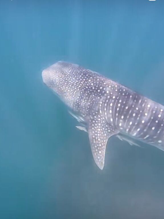 8b790256-ee90-4272-9b10-716563b5278e