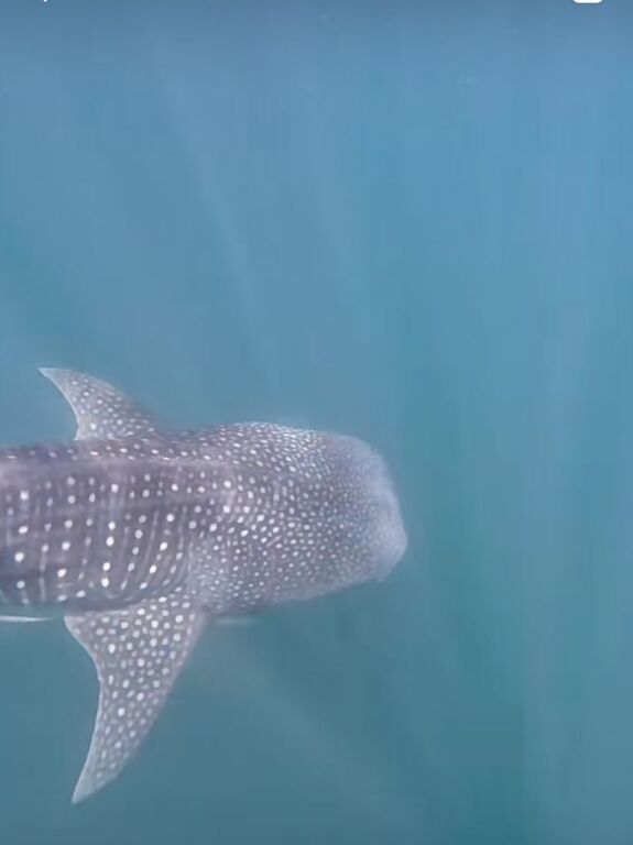 8b790256-ee90-4272-9b10-716563b5278e