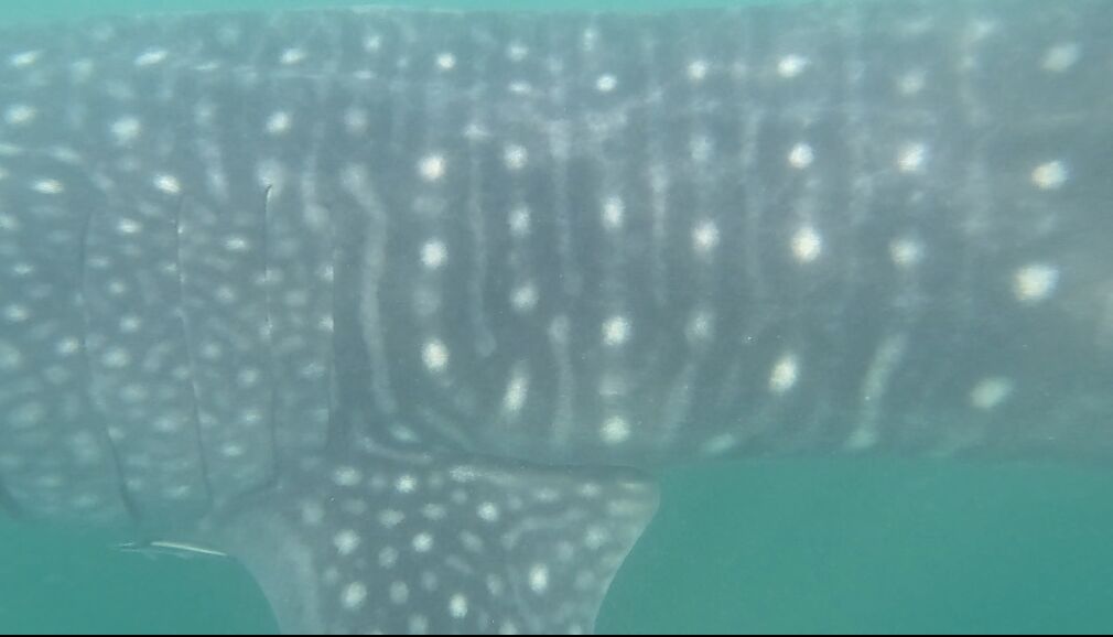 fac77967-5ca3-4035-97f6-f162f4928284