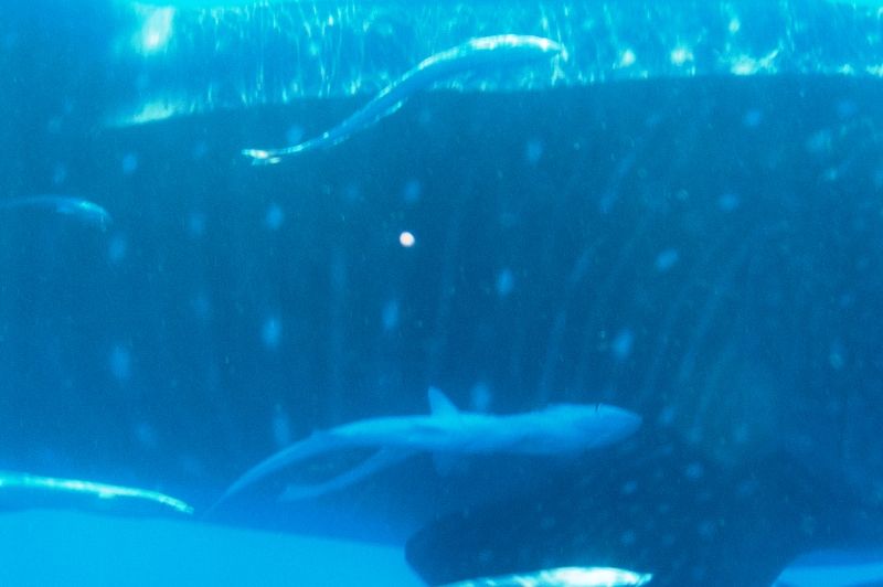 cef714e7-5474-4bf2-ae9e-e7c0712f7504