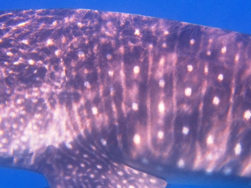 cef714e7-5474-4bf2-ae9e-e7c0712f7504