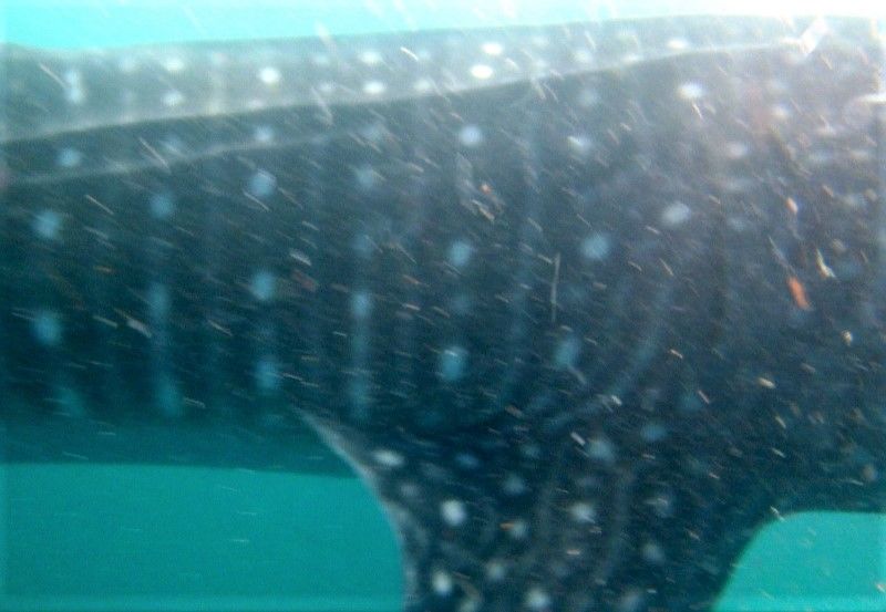 fbe2ebcd-5143-4f42-a698-826ae501804a