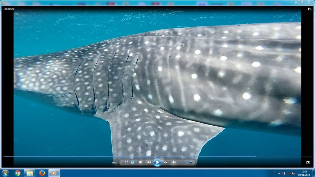 01bafa1d-b053-49b0-812e-e77213a5795a