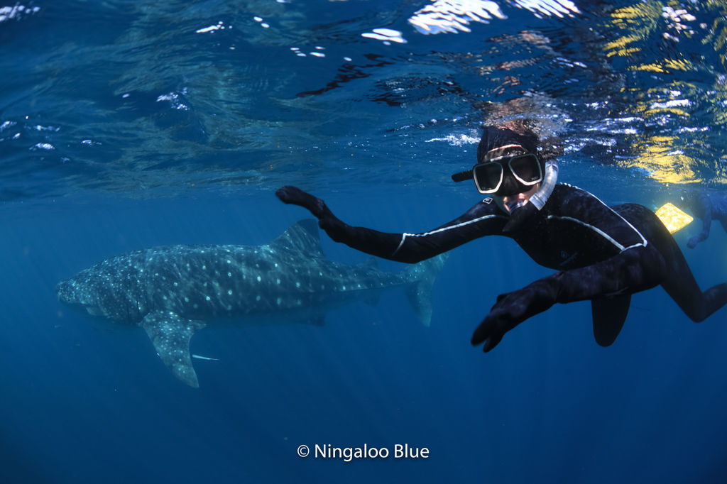 7111a3db-c0f0-46c5-94d8-0cd1a720823f