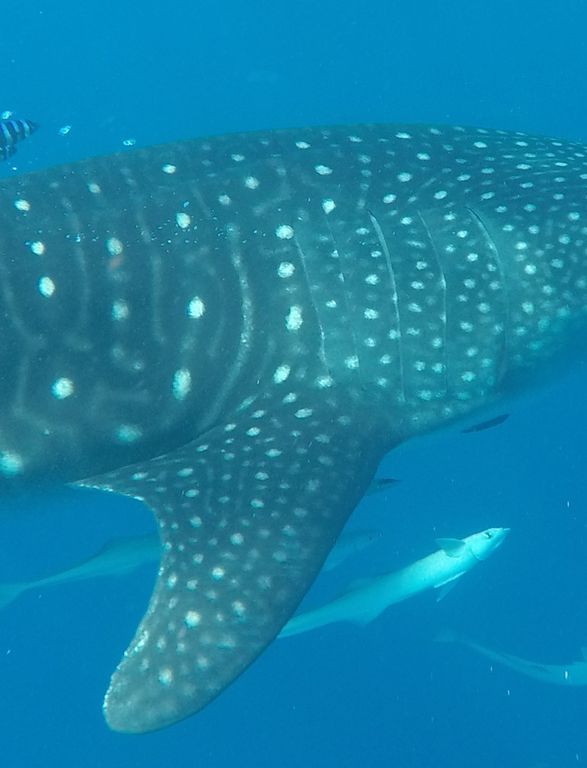 ab917e40-d76b-432d-8de7-1343b056a09d