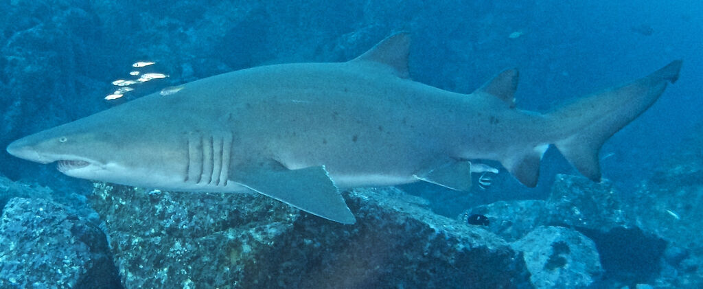 3c9e6d75-430f-49a0-9b68-fdbd7fbf04ac