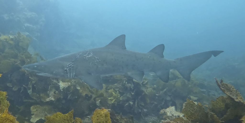 b93f6d89-ab78-48b1-85cd-6fa28f205f7c