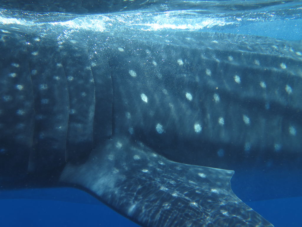 e54b3297-8ed8-4ec7-bf96-c6eb30606fff