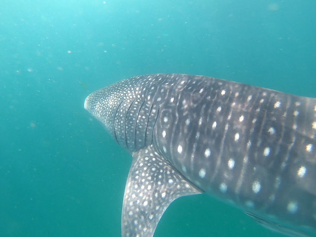 a81ba7bf-3c66-47df-aaa6-e0f39712c1da