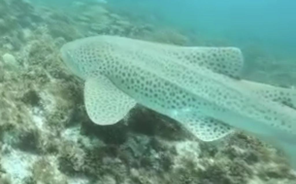 e3f01a09-dfda-456a-a2ce-b2405fe9bdc7