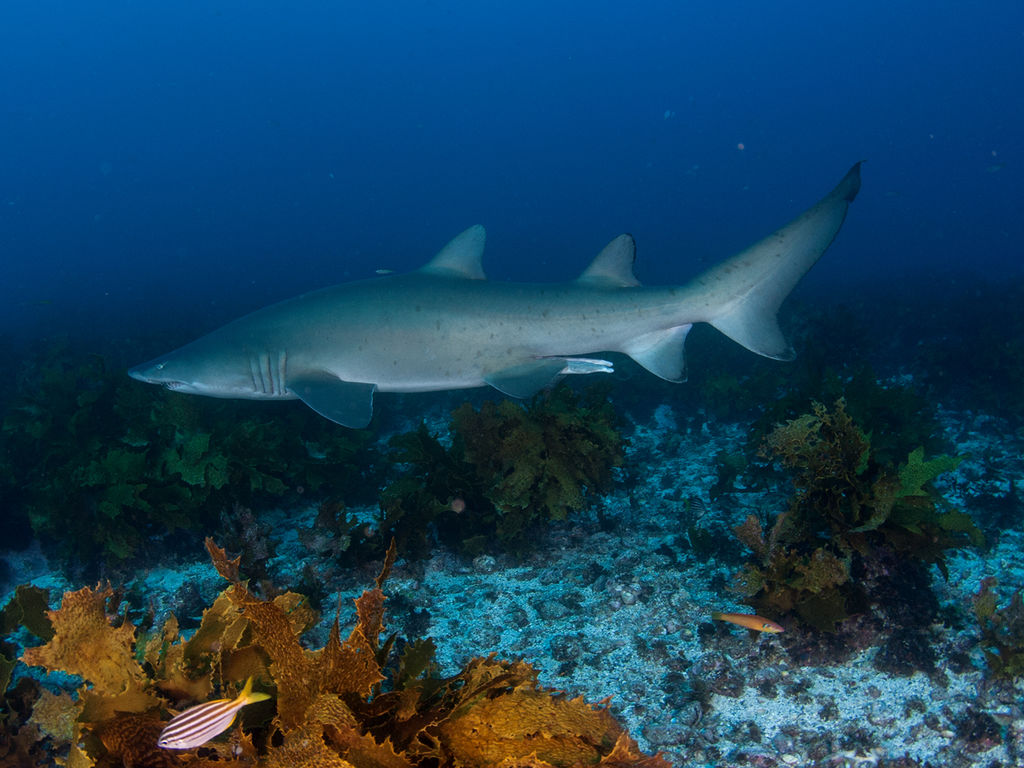 666fe7dc-58d2-4e9a-b10f-cdd3d60d75b8