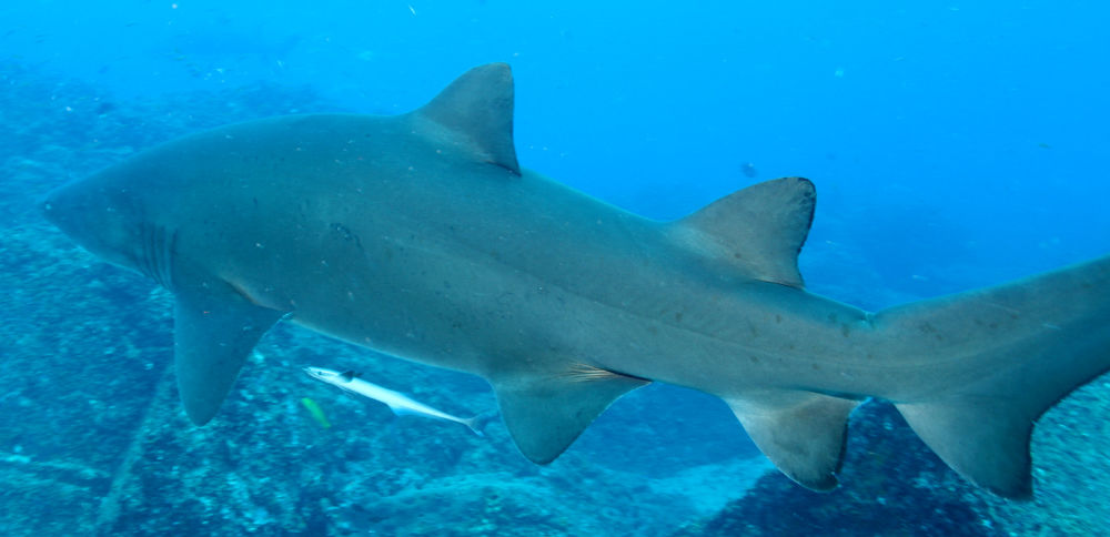 9c1f2418-1157-4364-a772-63e68e768e89