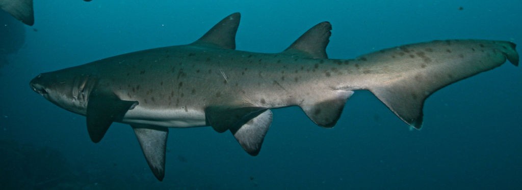 466e3f2f-b998-4f69-8987-c8b5bf930501