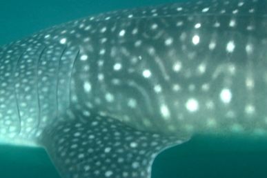 0dd983f5-a1b9-4222-929f-7b48c9355eb5