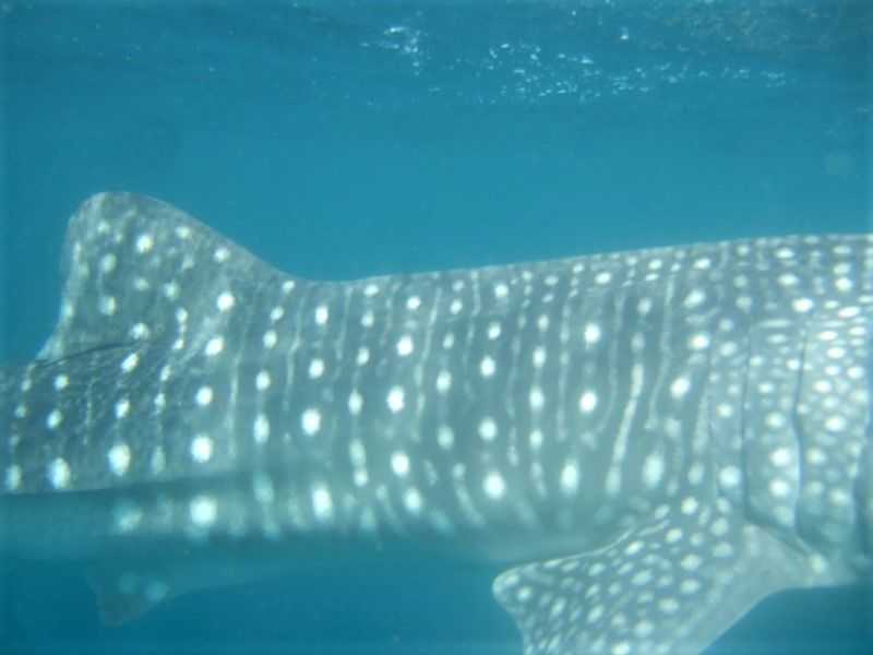 2547a662-908f-48c3-8760-68a2e5003ac2