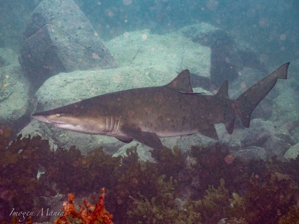 b747b3ea-ee8d-478f-b0d4-effeebab0f85