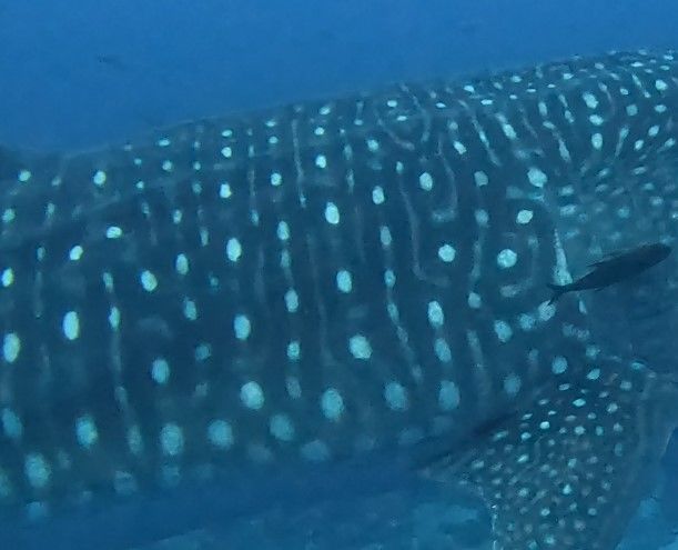 cabb57aa-3bdb-4624-9016-30288f90d443