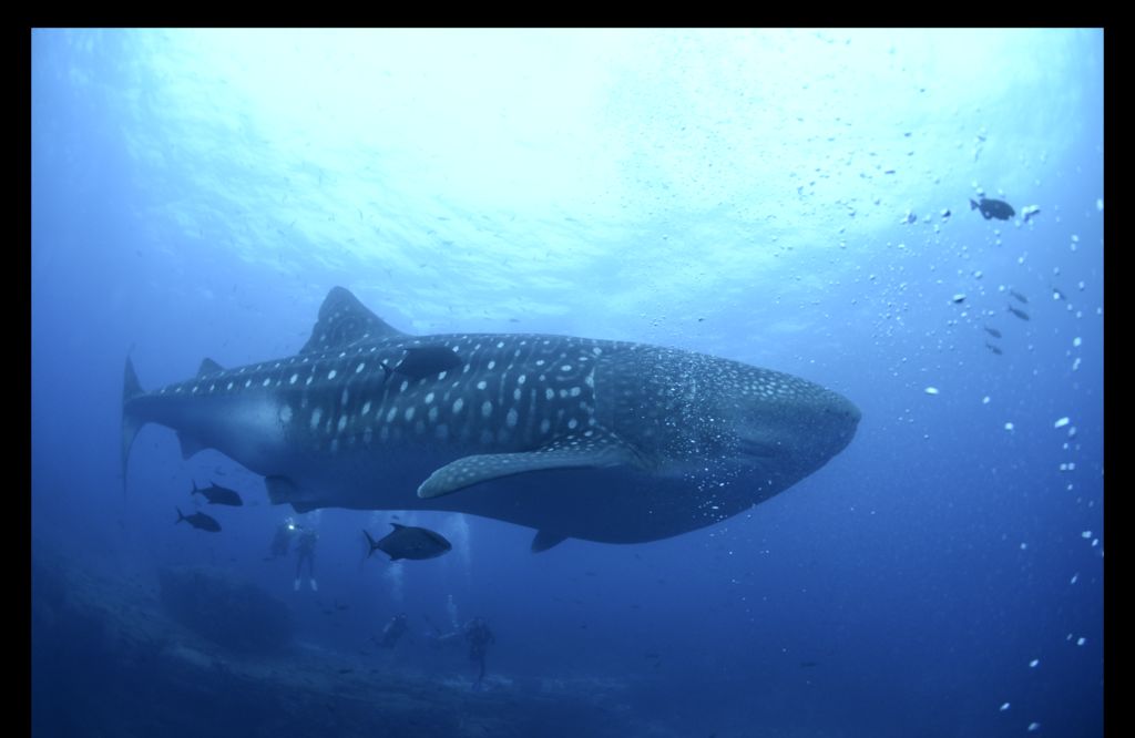 cabb57aa-3bdb-4624-9016-30288f90d443