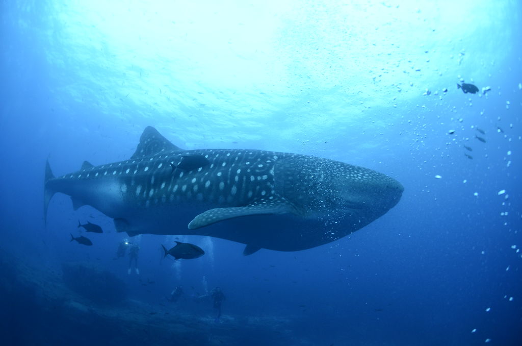 cabb57aa-3bdb-4624-9016-30288f90d443