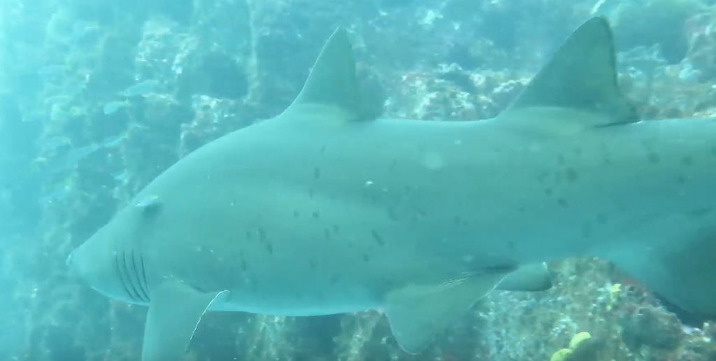 8ef6fc2c-7a7c-46ed-a458-373fc5dcca07