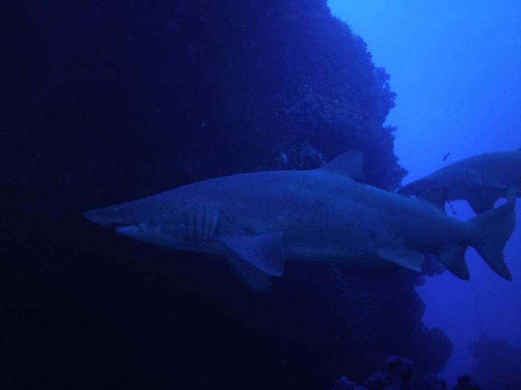 891c6220-3bbc-4da0-a853-a42f8d214e2c