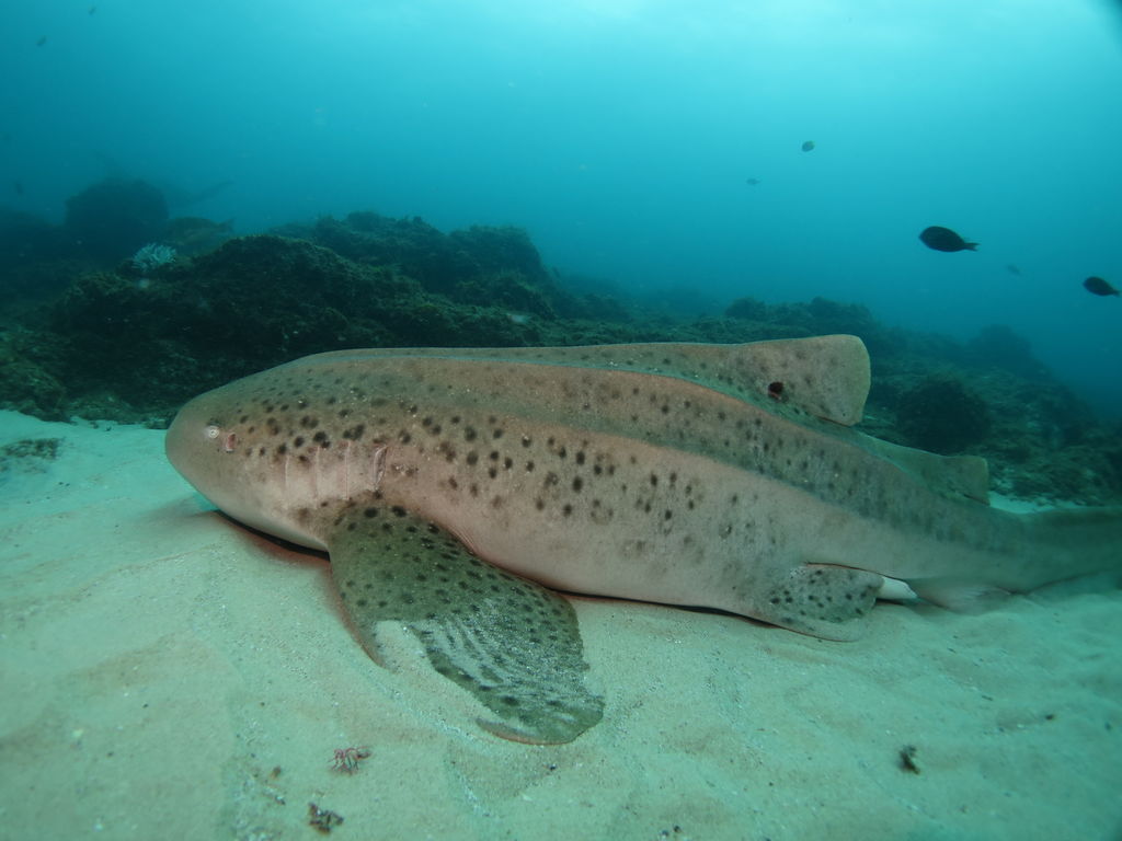 8b3db0aa-32e3-4308-889d-ee8ff9bbf7df