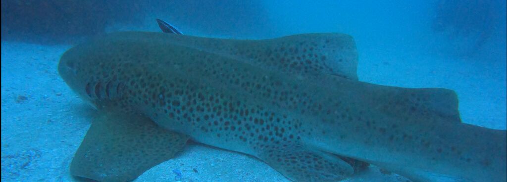 7544e871-1b7b-4384-81cb-da1eb2c56e54