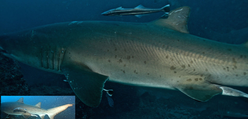 b937819e-a9af-4c53-b897-a43adfe03a4f