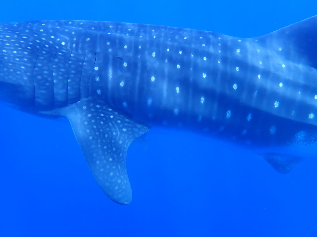 ed54e619-70d9-4744-ac96-a914fd797128