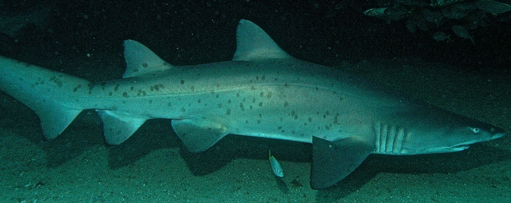 3d20ea99-4577-4480-8394-0c6fe2ba0714