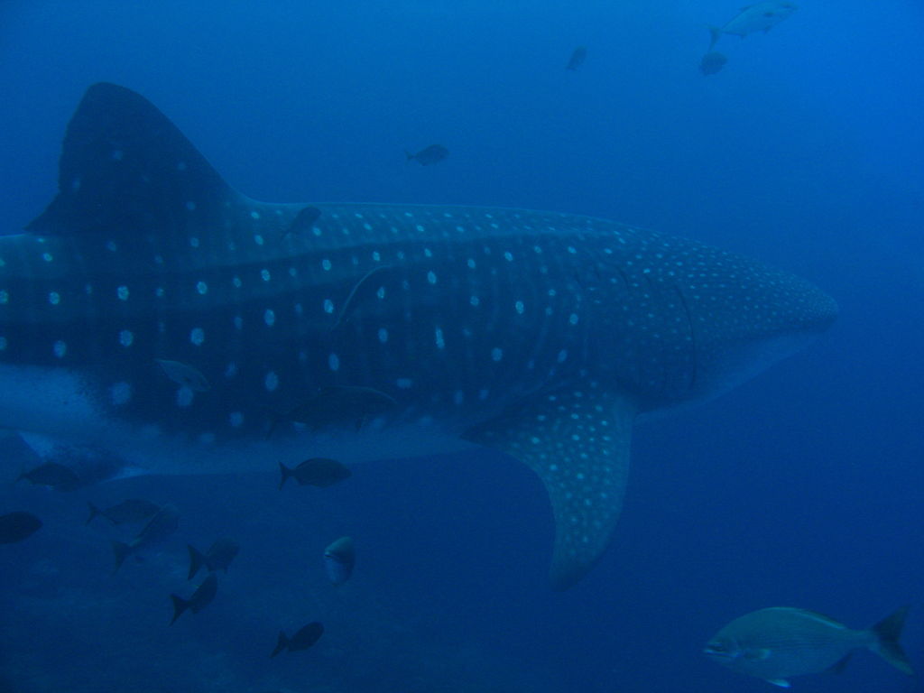 d55536f6-d576-4925-94f0-3c664a08d107