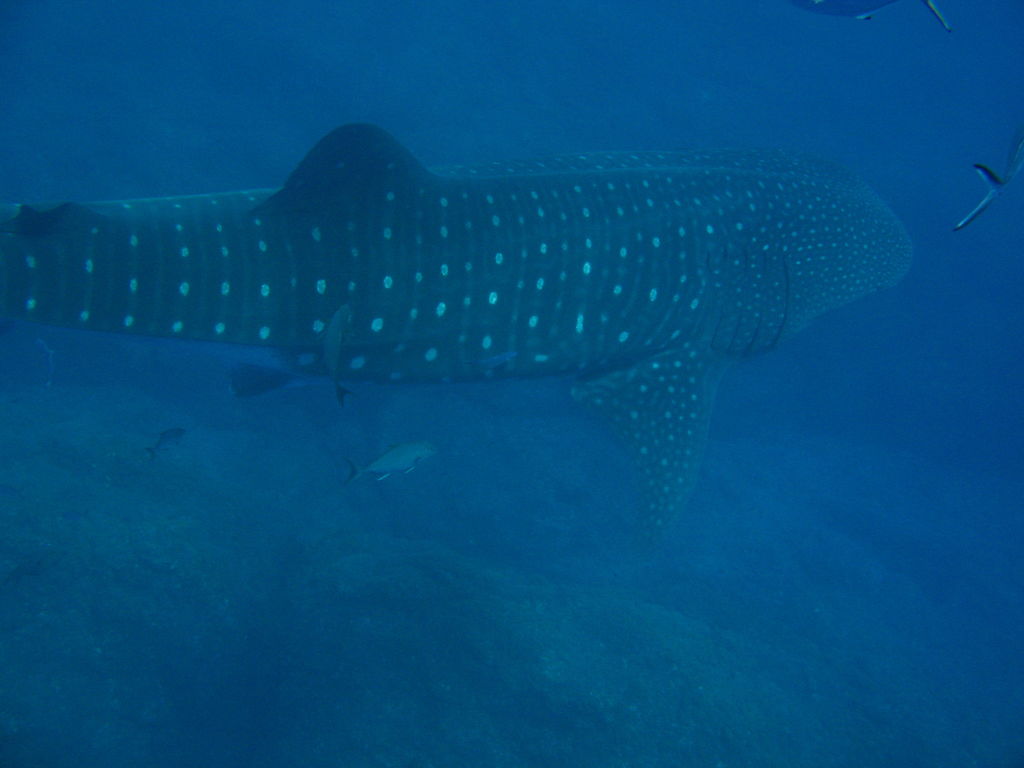 d55536f6-d576-4925-94f0-3c664a08d107