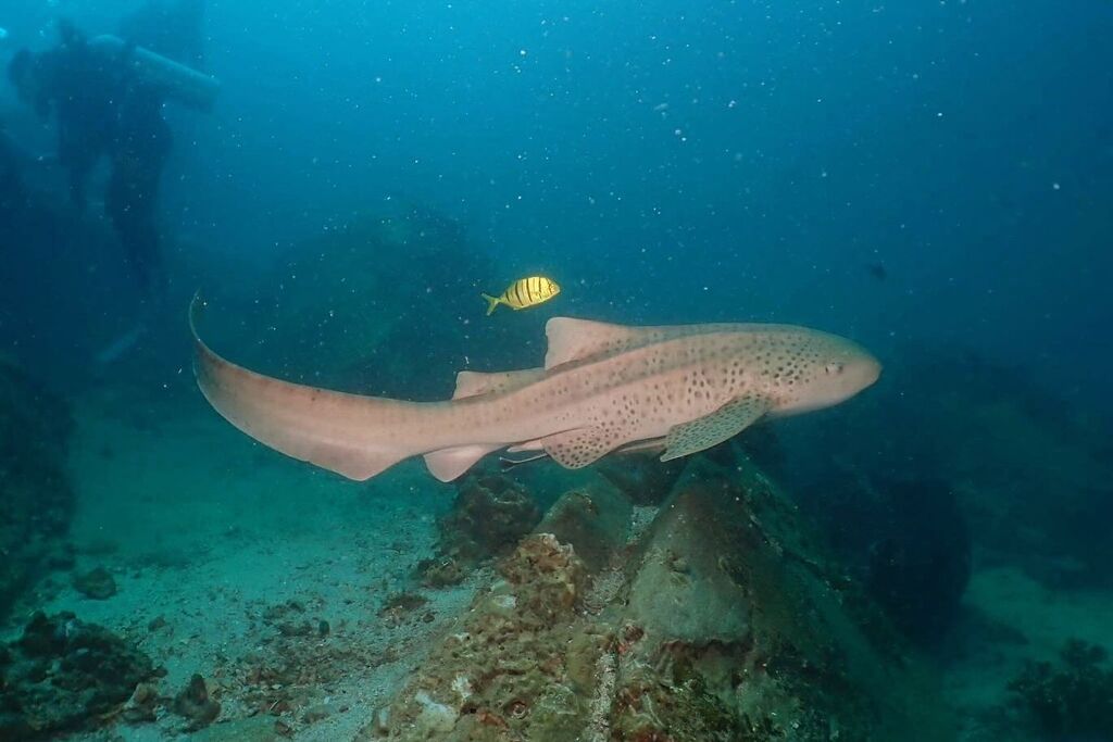 a7de2f7a-15ab-4f2d-8897-47a139a3e02d