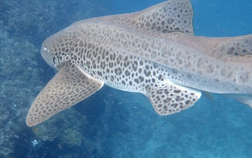 ccec62c5-a69f-4b1c-afc4-43e238e24ac2