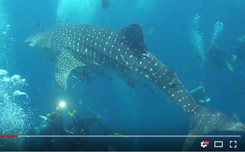 f92d88f9-8290-4940-a8aa-1a09bcb27bd4