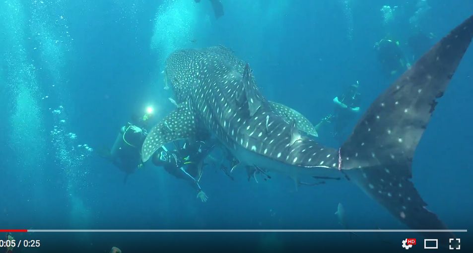 f92d88f9-8290-4940-a8aa-1a09bcb27bd4