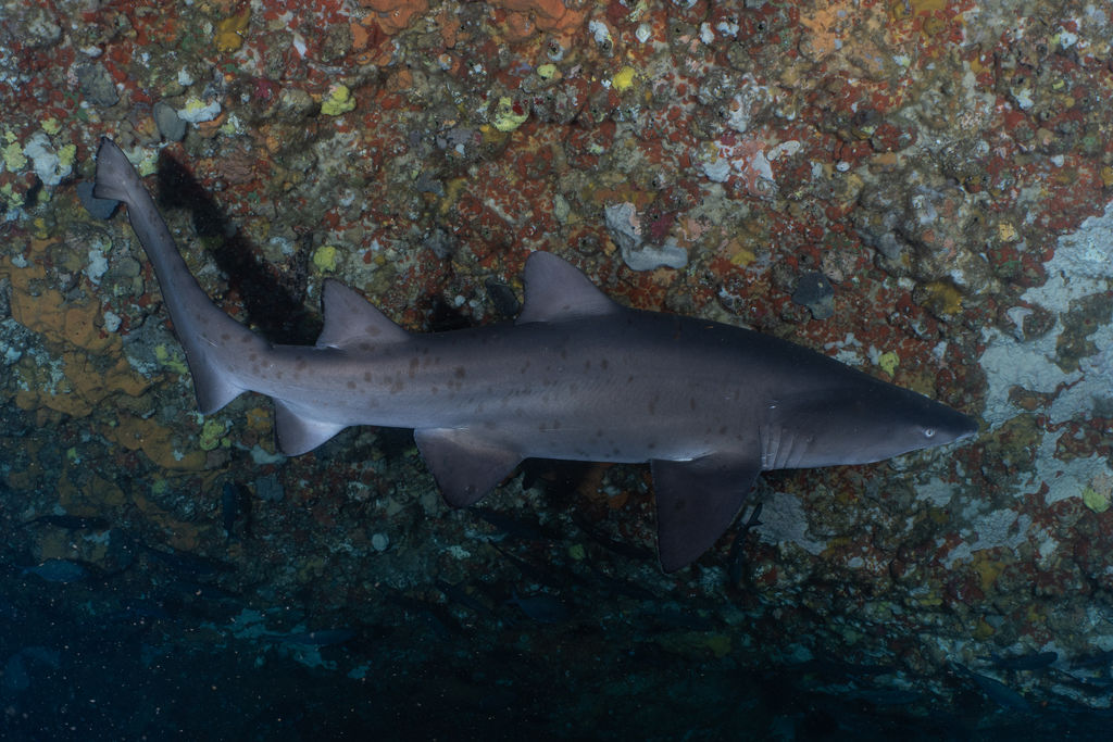 88e880ec-9a82-4d5b-b581-6a37e1f44167