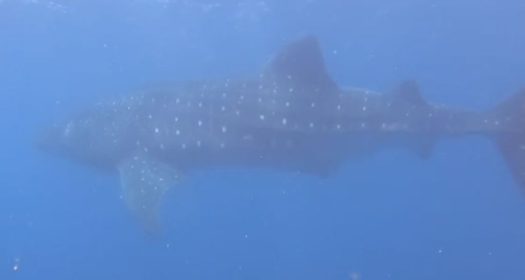 f39c07a4-872d-4a6d-b468-f1d915629ffb