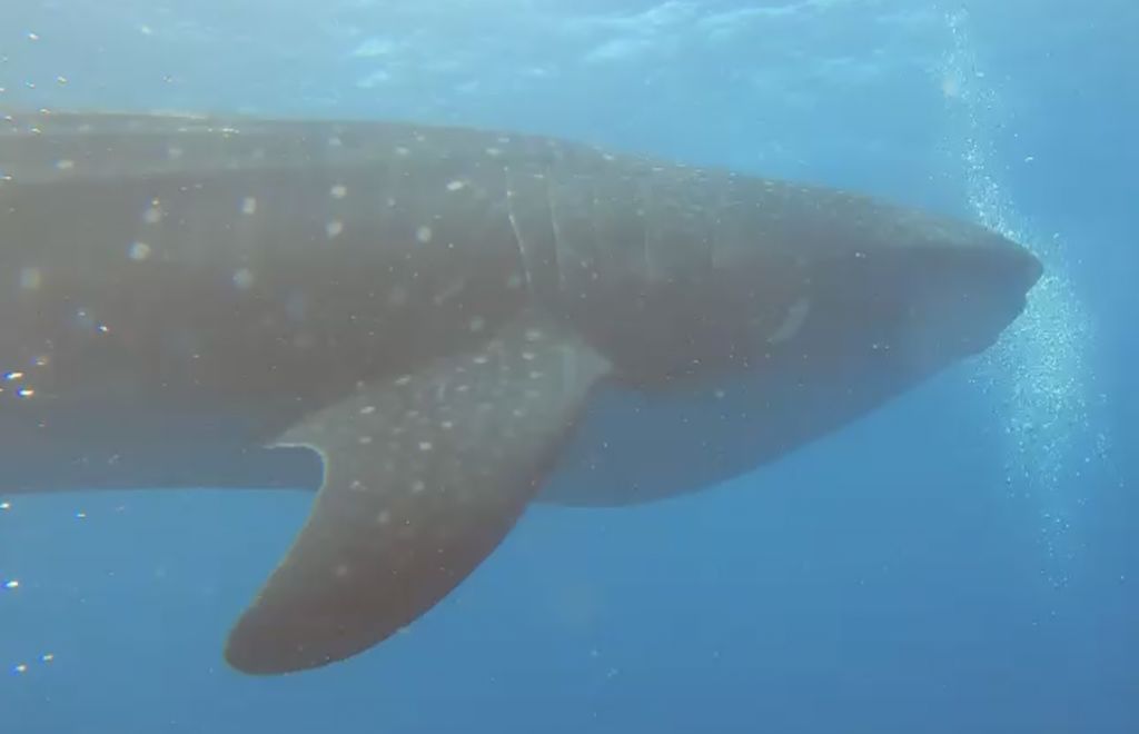 f39c07a4-872d-4a6d-b468-f1d915629ffb