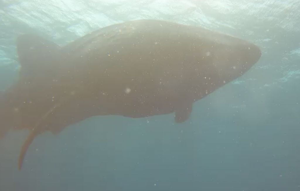 f39c07a4-872d-4a6d-b468-f1d915629ffb