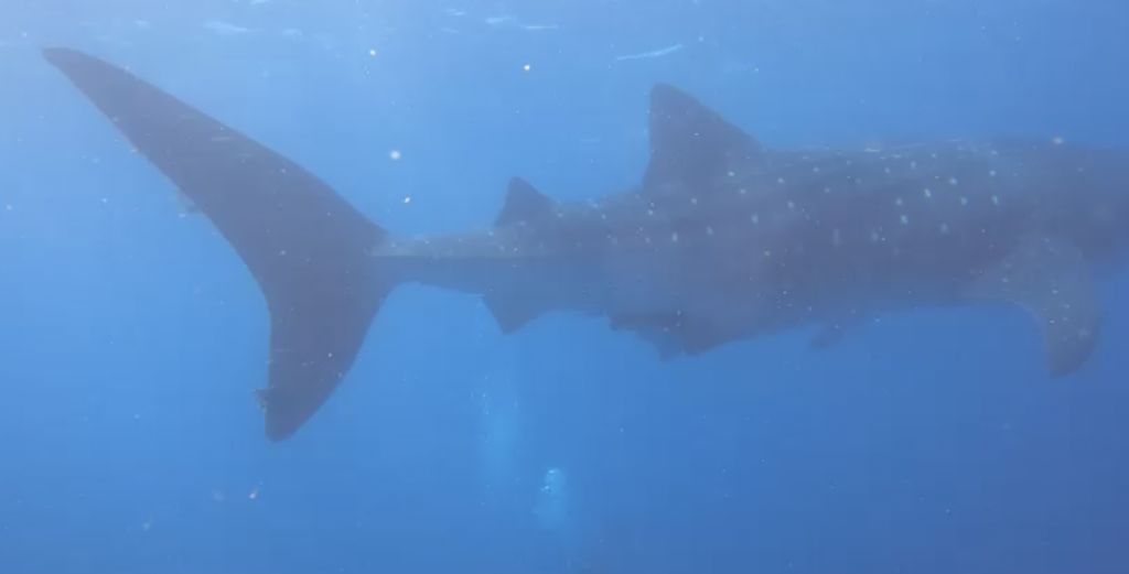 f39c07a4-872d-4a6d-b468-f1d915629ffb