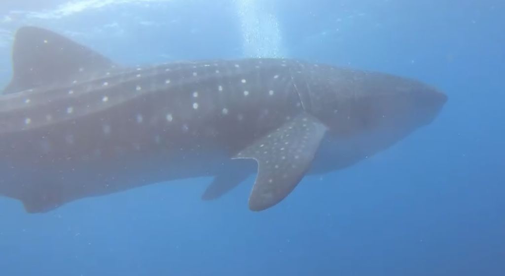 f39c07a4-872d-4a6d-b468-f1d915629ffb