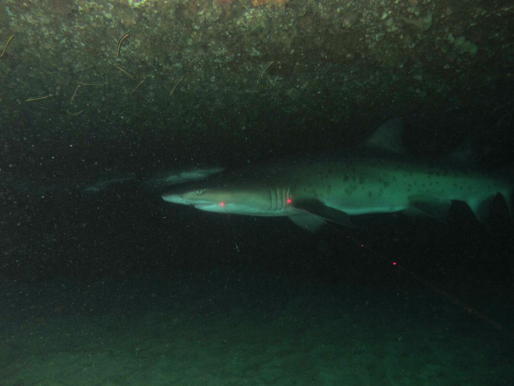 ddba37f3-a79f-42f9-bd9a-453df247820b