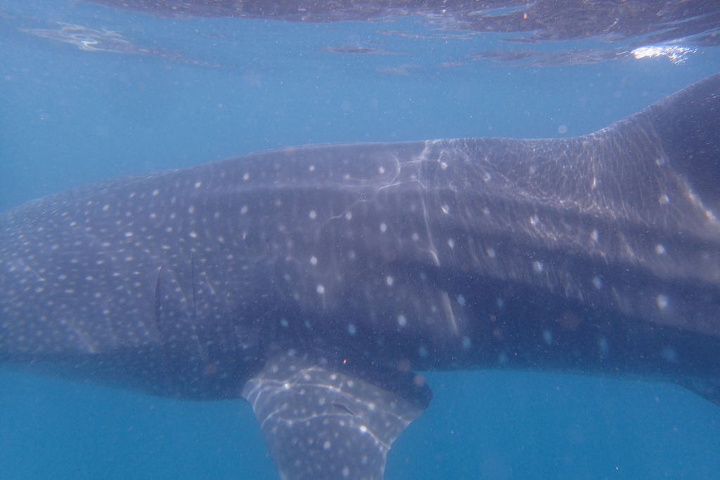 f1f4e456-796e-4f8a-a8b1-0b02202032de