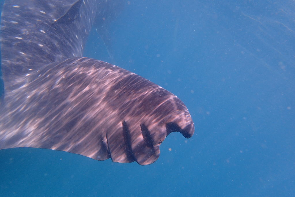 f1f4e456-796e-4f8a-a8b1-0b02202032de