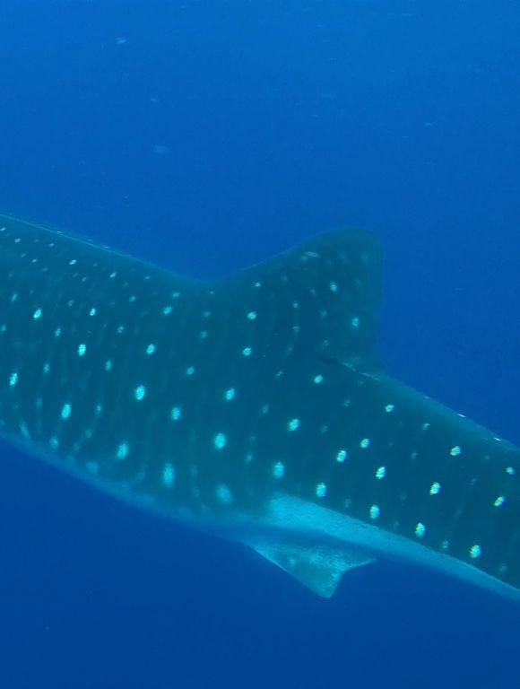 5cc6aa42-88e3-4331-9412-641b23d09538