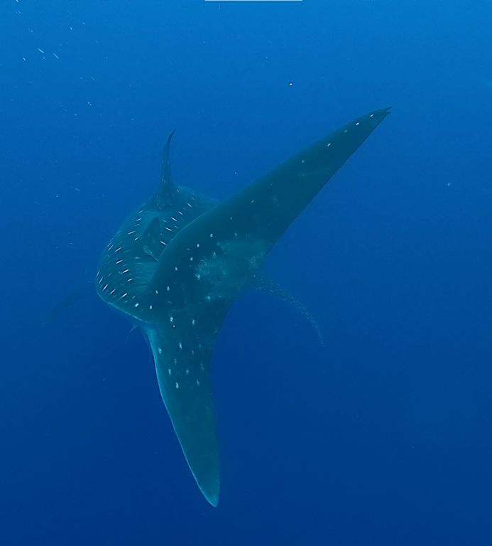 5cc6aa42-88e3-4331-9412-641b23d09538