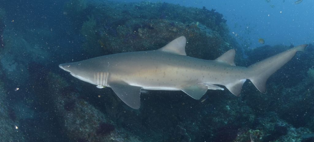 de4d74e2-7d5d-4593-83bd-fe83fcb50368