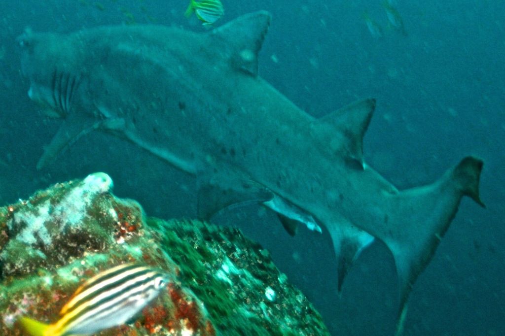 646e0f79-66f5-4577-bfa2-0ce21aade9f5