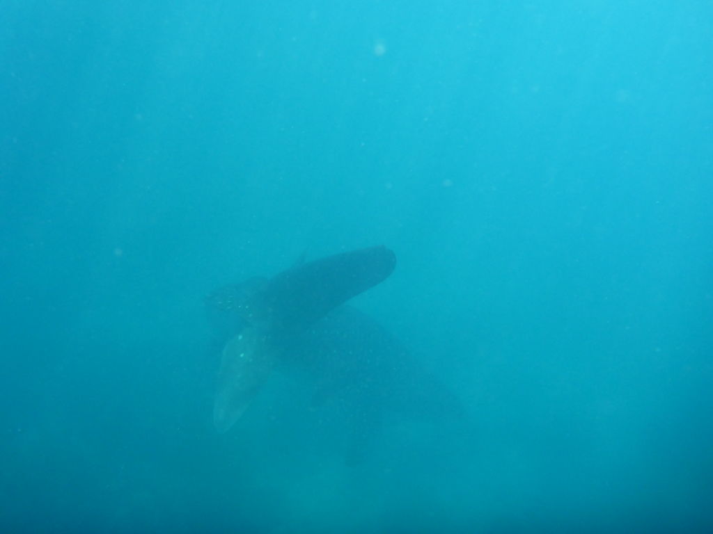 31f4e446-e204-4522-9349-b6d3a7445eb5